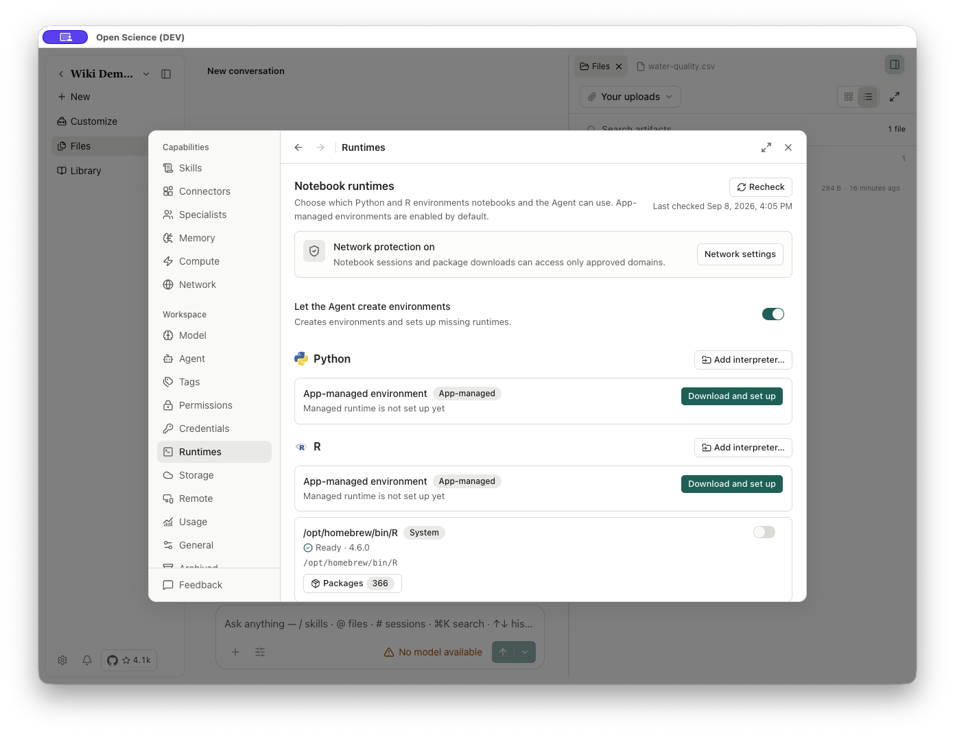 Runtime settings before Python setup