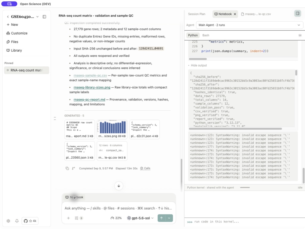 Python execution and output in Notebook