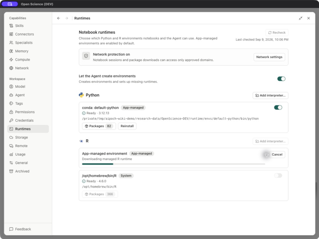 Downloading the app-managed R environment