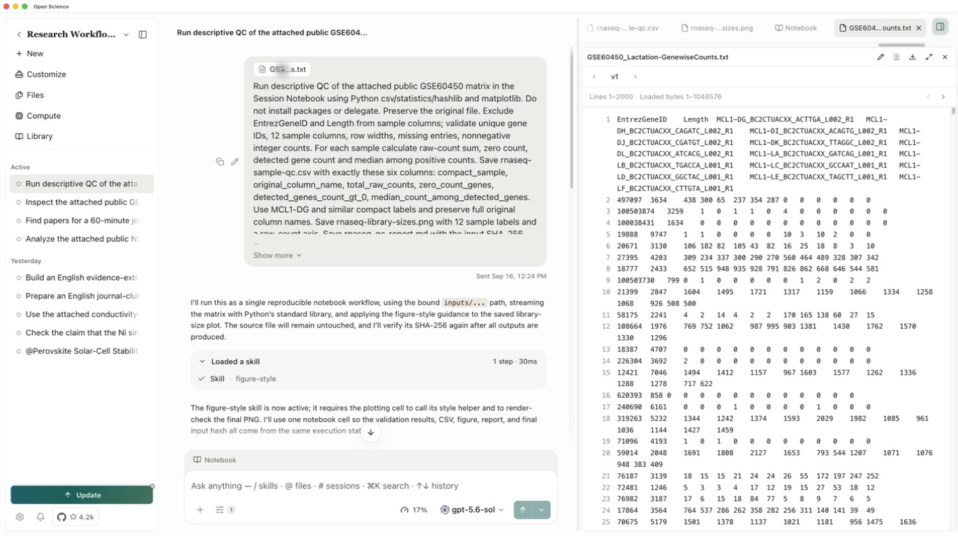 The actual attached matrix and its column definitions