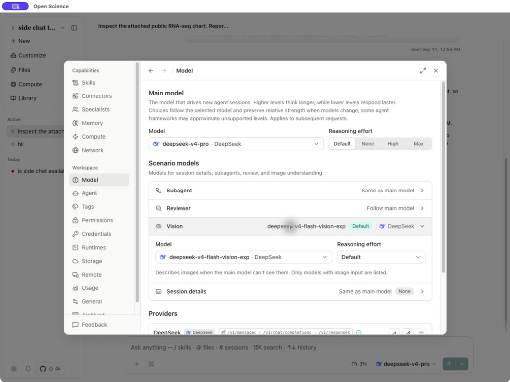 Отдельный выбор Vision вместе с текстовой моделью Main